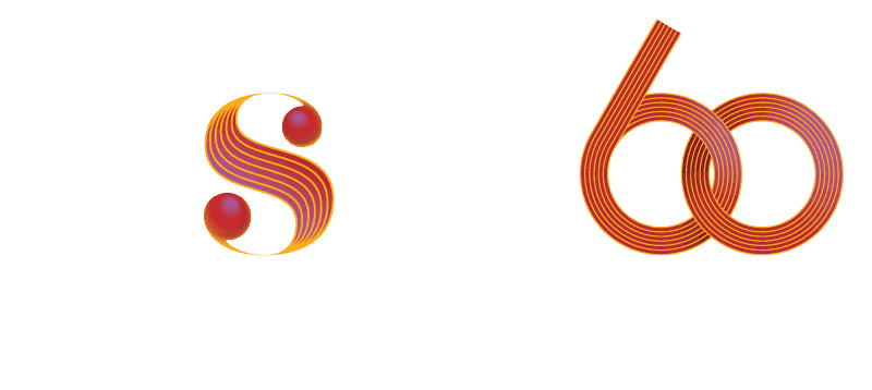 DSO Logo